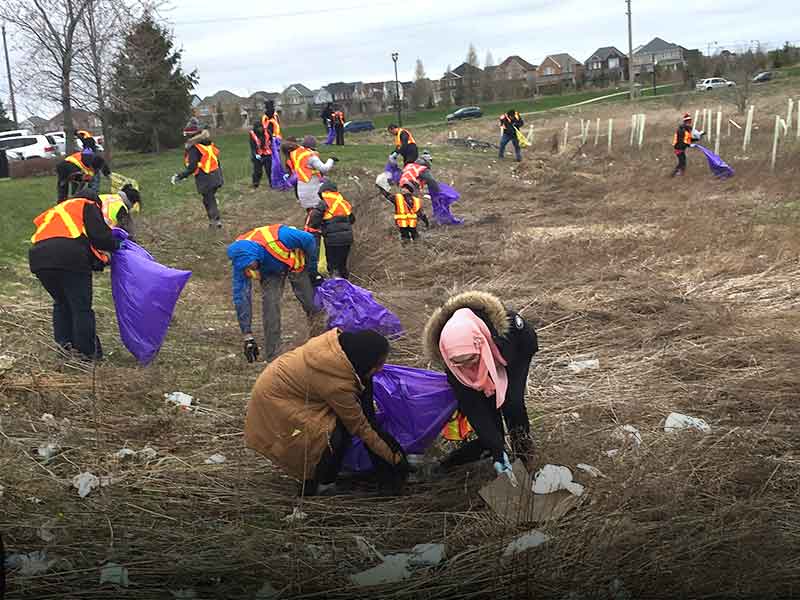 A large group of volunteers picking up garbage